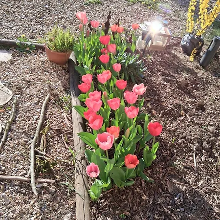 La Tourelle Bed & Breakfast 3*